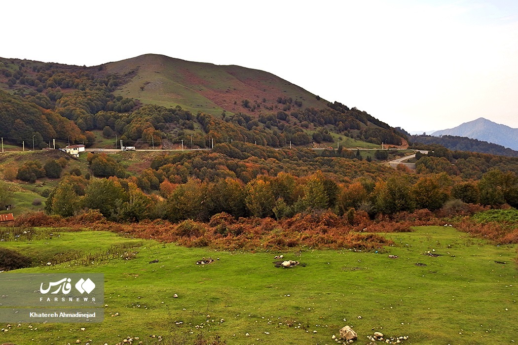 تصاویر: پاییزِ « گیلان »