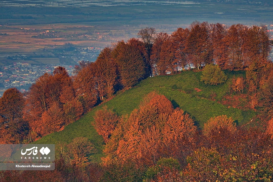 تصاویر: پاییزِ « گیلان »