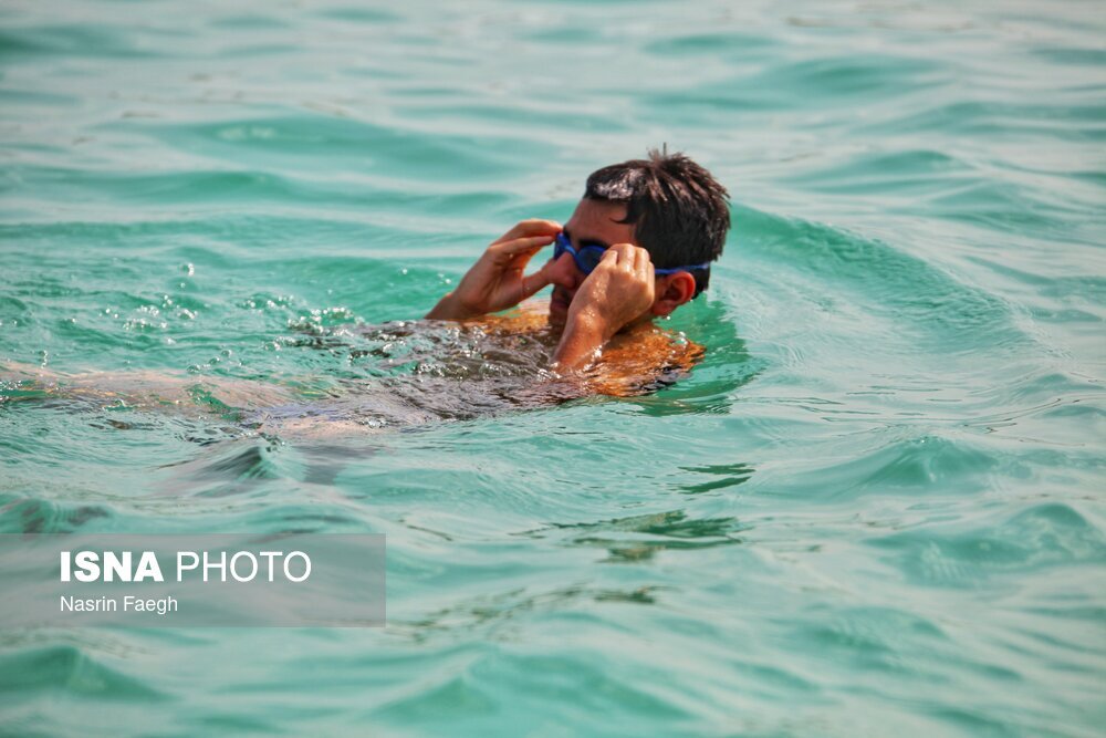 تصاویر: مسابقات قهرمانی شنای آبهای آزاد کشور در کیش
