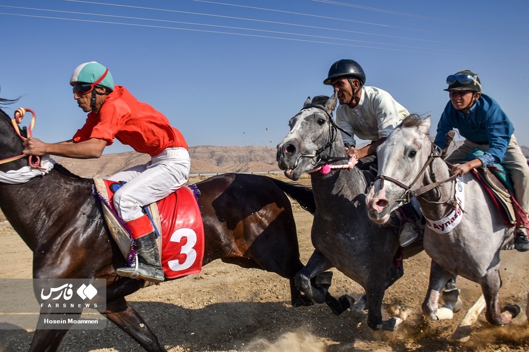 تصاویر: کورس اسب‌دوانی پاییزه بجنورد