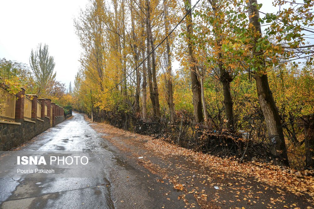 تصاویر: خزان در کوچه باغ‌های همدان