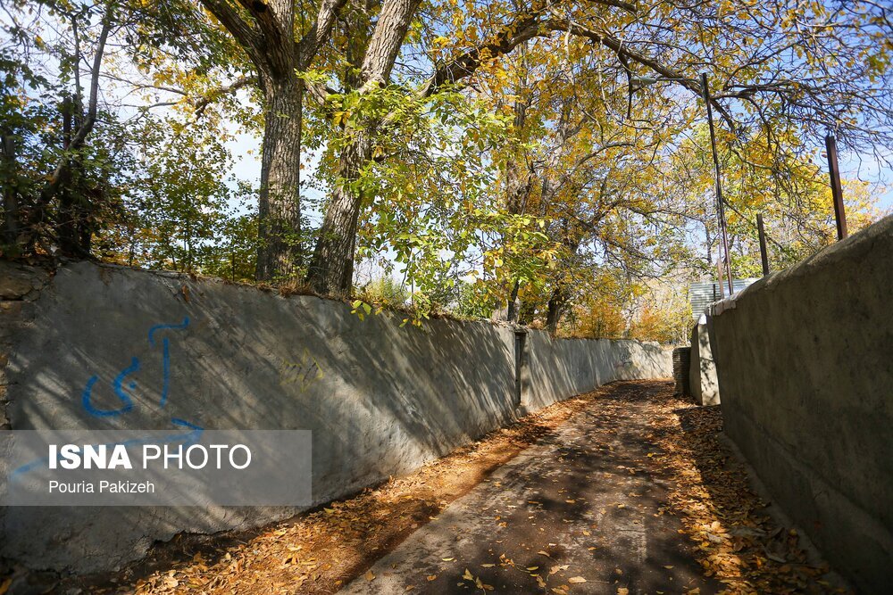 تصاویر: خزان در کوچه باغ‌های همدان