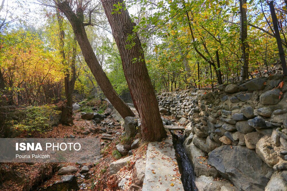 تصاویر: خزان در کوچه باغ‌های همدان