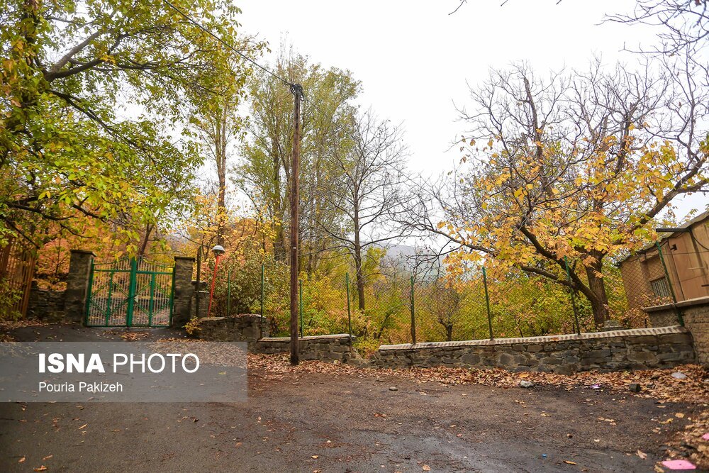 تصاویر: خزان در کوچه باغ‌های همدان
