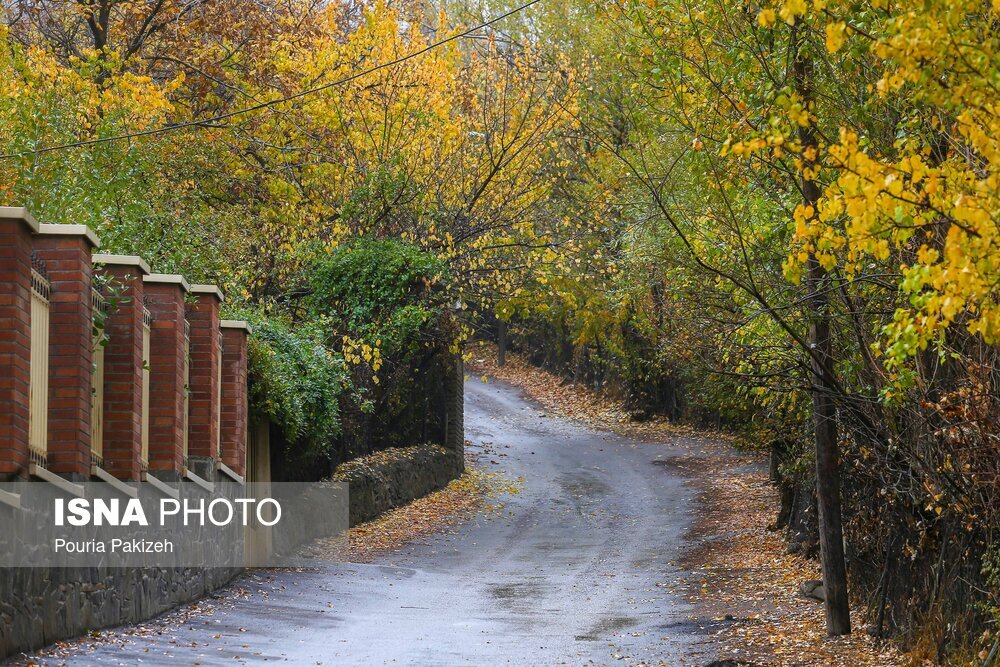 تصاویر: خزان در کوچه باغ‌های همدان