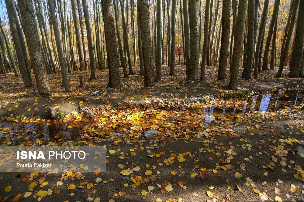 تصاویر: خزان در کوچه باغ‌های همدان
