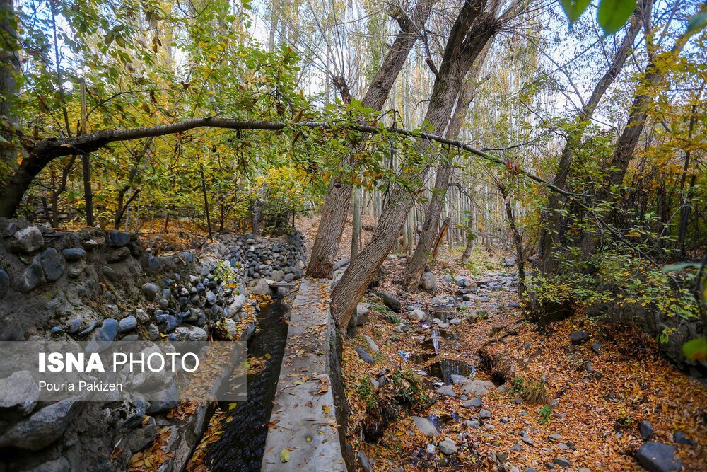 تصاویر: خزان در کوچه باغ‌های همدان