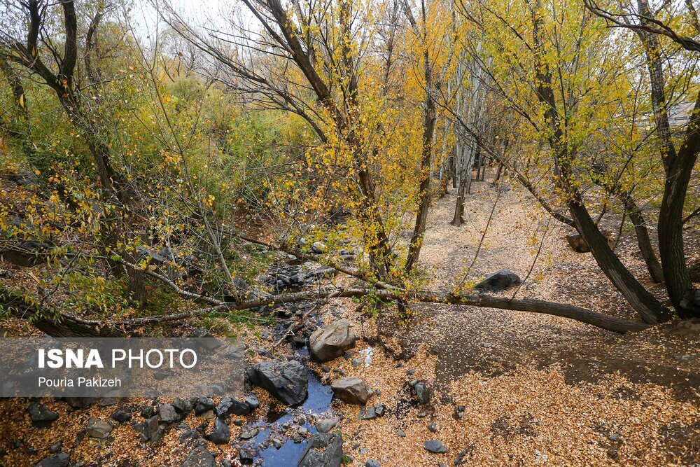 تصاویر: خزان در کوچه باغ‌های همدان