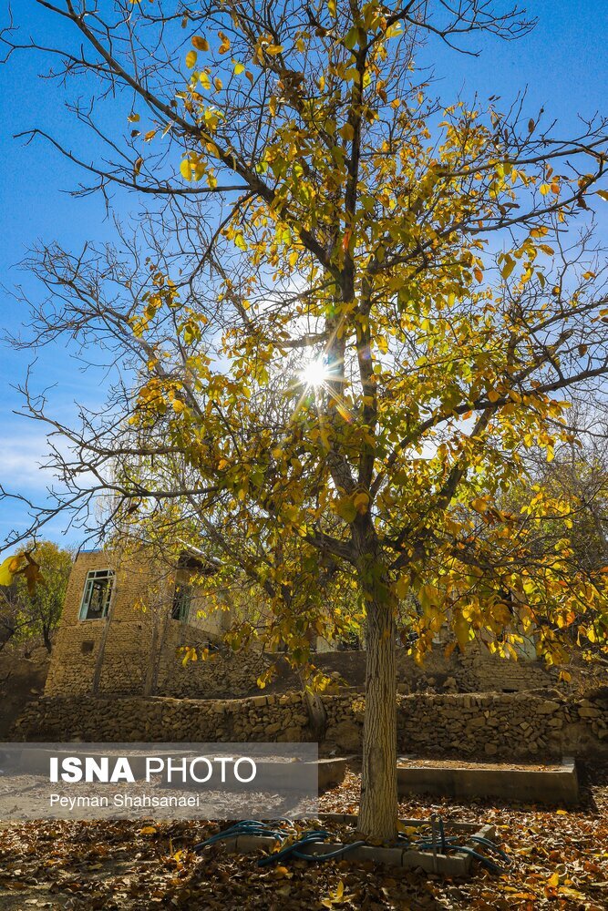 تصاویر: روستای تاریخی برزُک