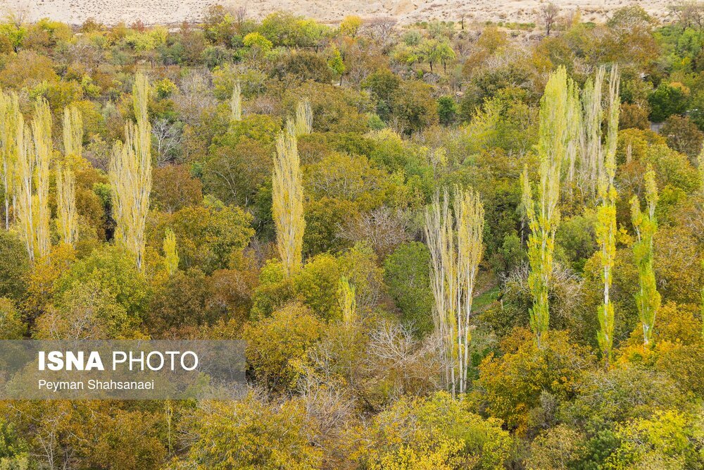 تصاویر: روستای تاریخی برزُک
