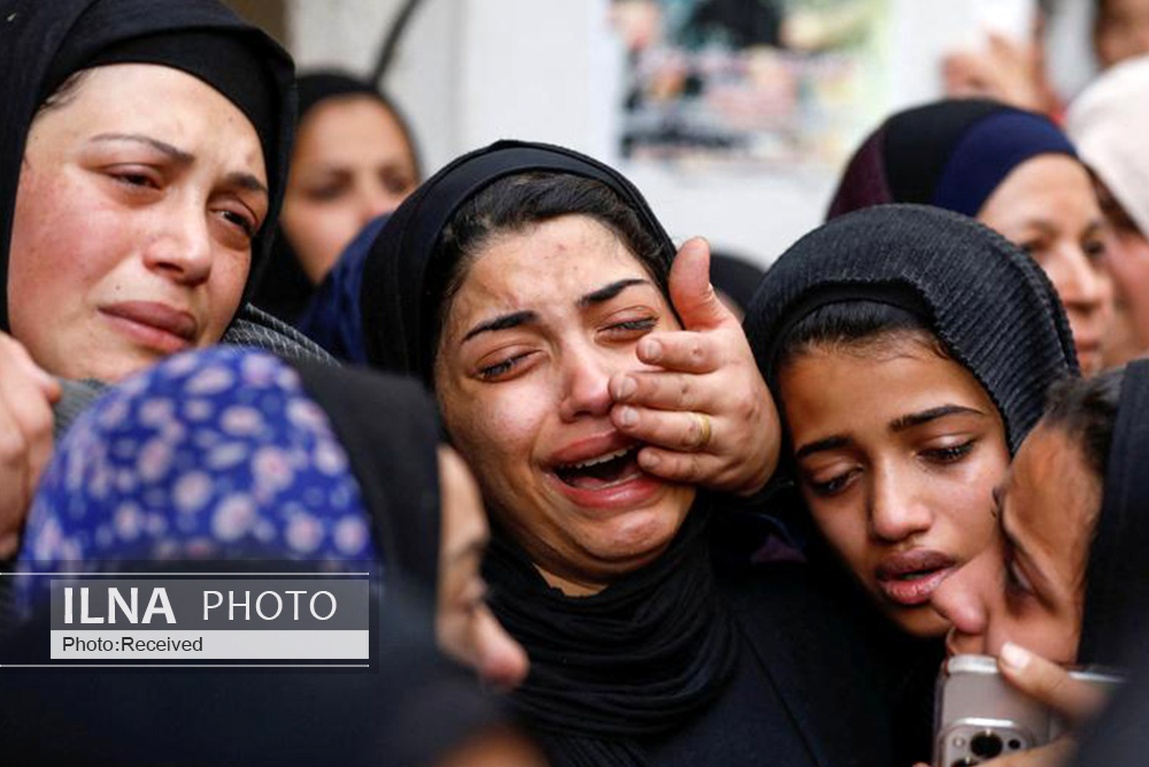 تصاویر: بهترین عکسهای روز