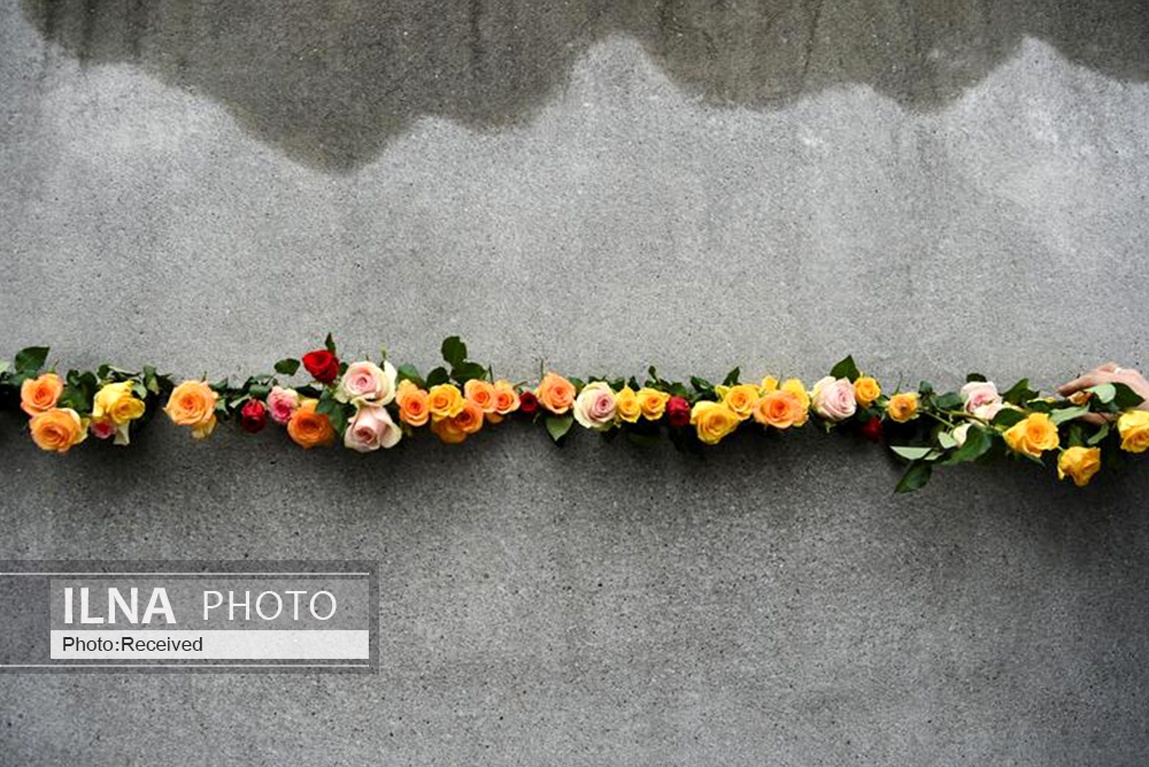 تصاویر: بهترین عکسهای روز