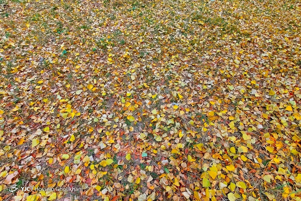 تصاویر: پاییز روستای «ارتش آباد»