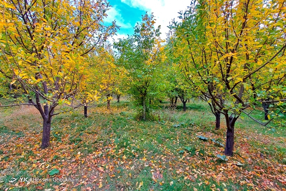 تصاویر: پاییز روستای «ارتش آباد»