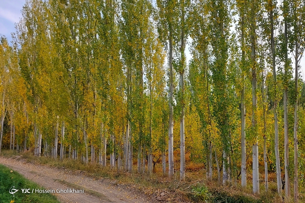 تصاویر: پاییز روستای «ارتش آباد»