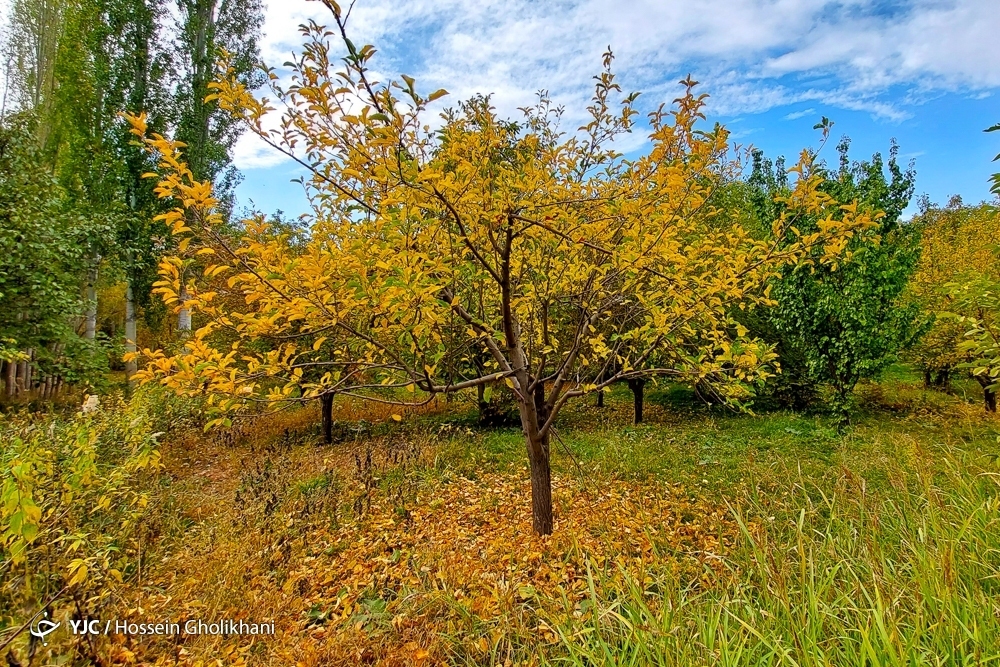 تصاویر: پاییز روستای «ارتش آباد»