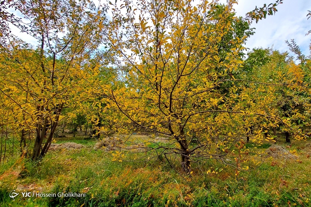 تصاویر: پاییز روستای «ارتش آباد»