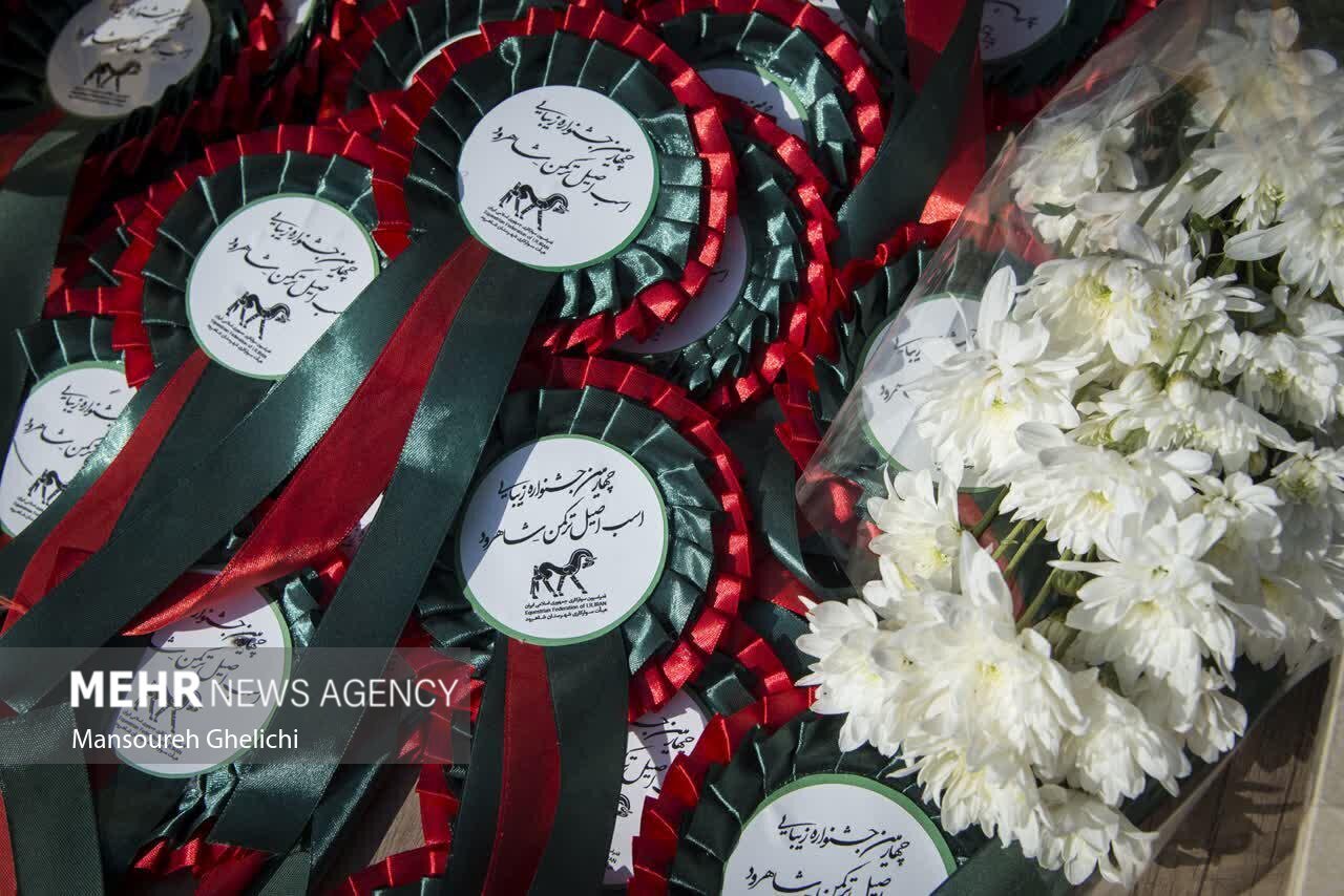 تصاویر: جشنواره زیبایی اسب ترکمن
