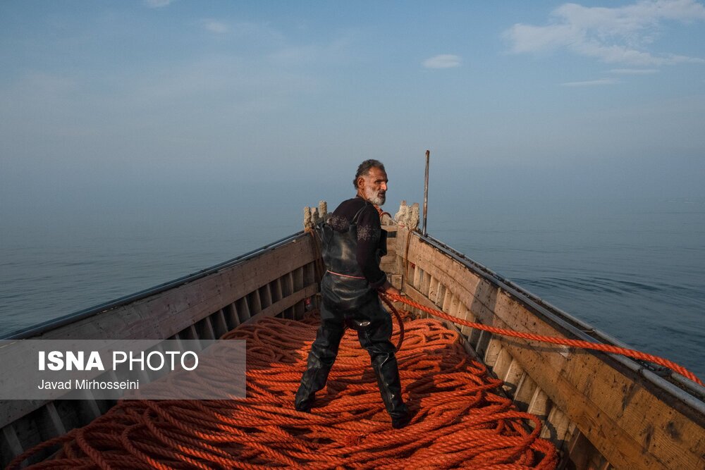 تصاویر: صید پره