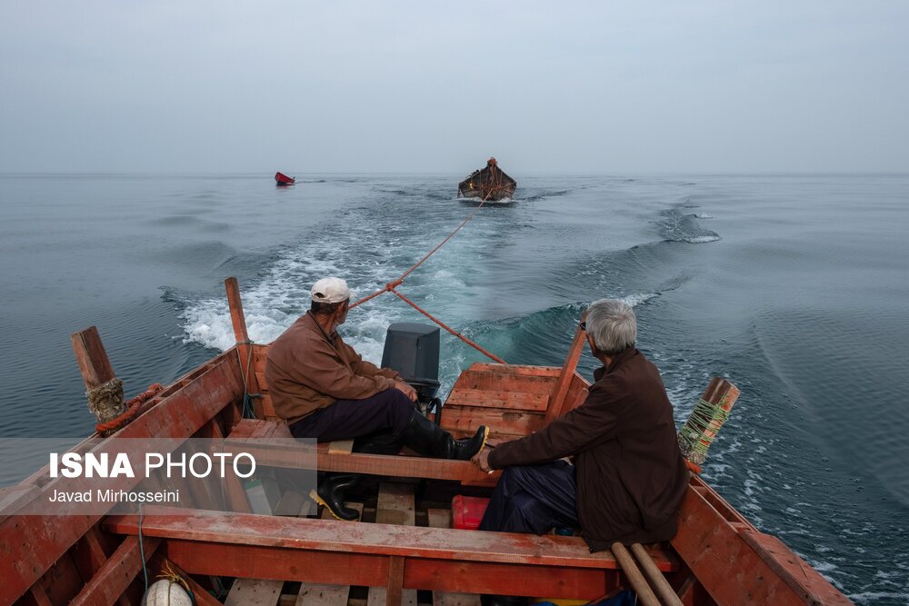 تصاویر: صید پره