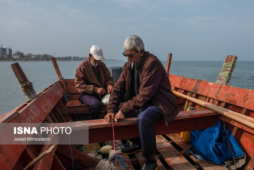 تصاویر: صید پره