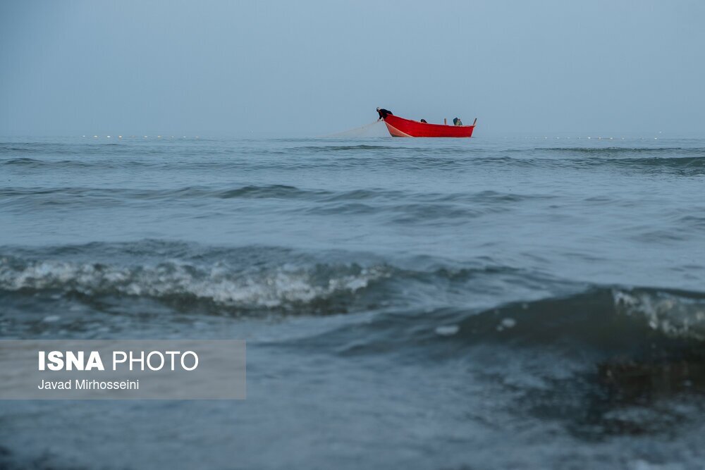 تصاویر: صید پره