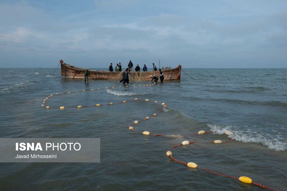 تصاویر: صید پره