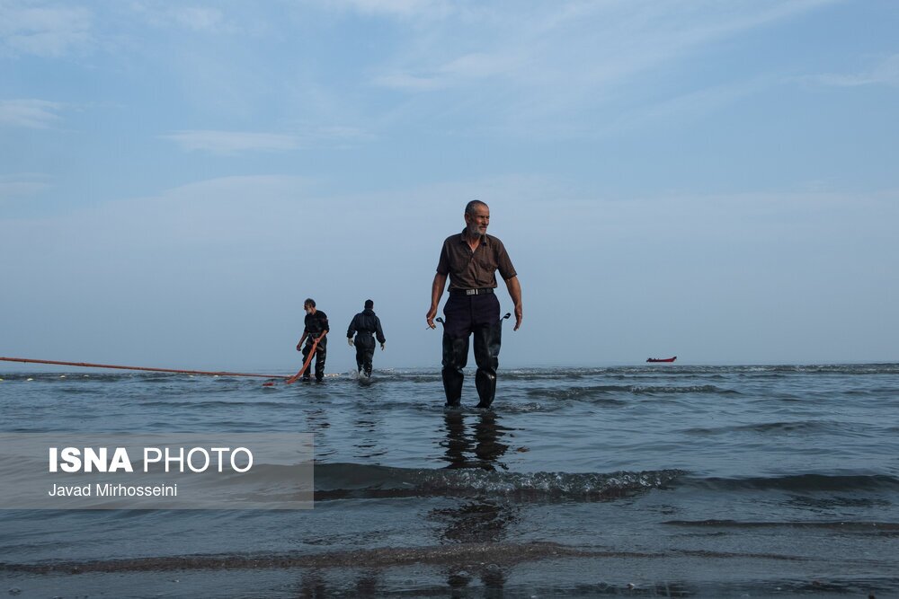 تصاویر: صید پره