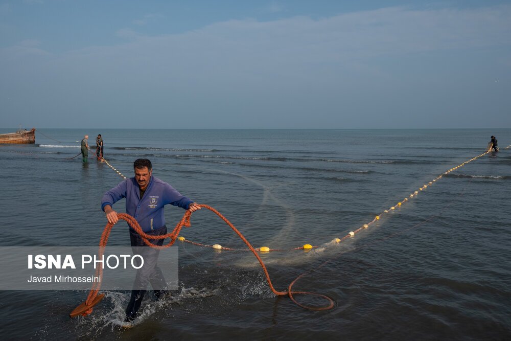 تصاویر: صید پره