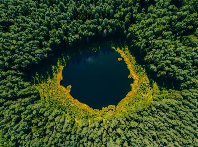 برترین عکس‌های محیط زیست ۲۰۲۲؛ عکاس ایرانی در بین برگزیدگان