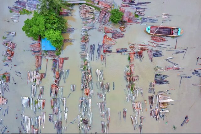 برترین عکس‌های محیط زیست ۲۰۲۲؛ عکاس ایرانی در بین برگزیدگان