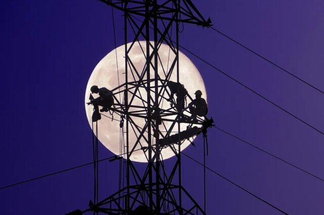 برترین عکس‌های محیط زیست ۲۰۲۲؛ عکاس ایرانی در بین برگزیدگان