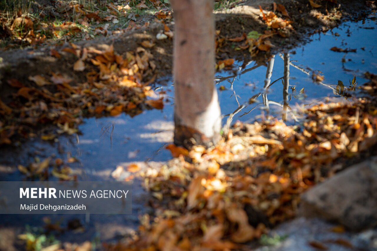 تصاویر: حیات قنات‌ها در روستاهای یزد