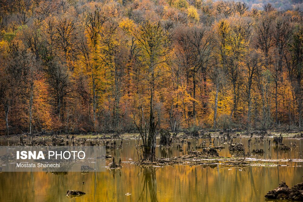 تصاویر: پاییز فصل رنگ و نور