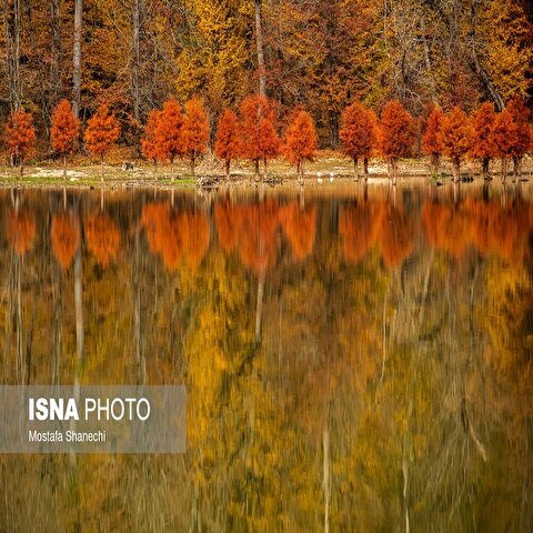 تصاویر: پاییز فصل رنگ و نور