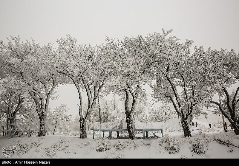 تصاویر: بارش برف پاییزی در ارتفاعات قزوین