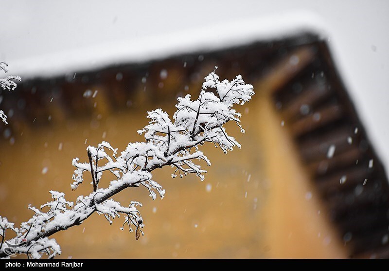 تصاویر: بارش برف در ماسوله
