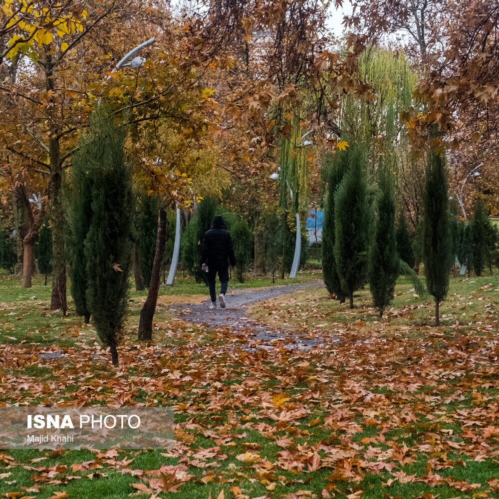 تصاویر: تهران، غرق برگ و برف