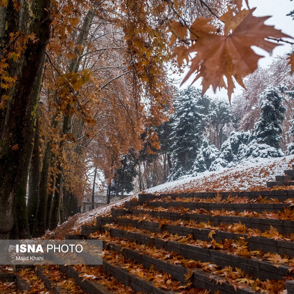 تصاویر: تهران، غرق برگ و برف