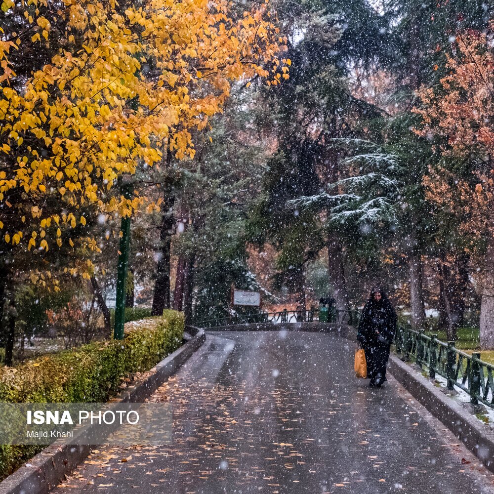 تصاویر: تهران، غرق برگ و برف