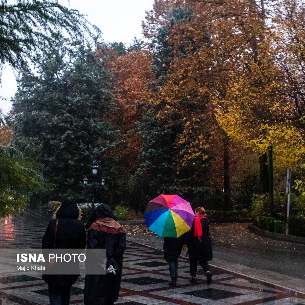 تصاویر: تهران، غرق برگ و برف