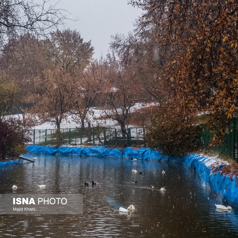 تصاویر: تهران، غرق برگ و برف