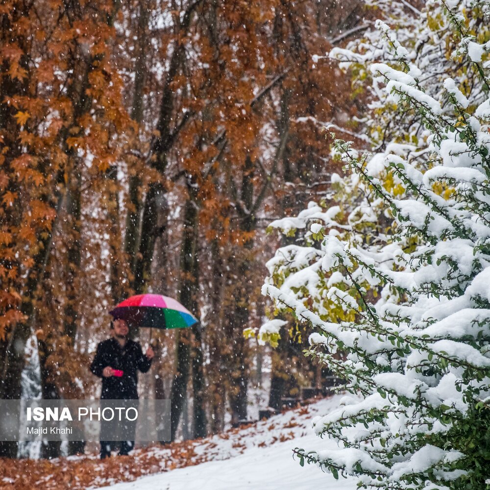 تصاویر: تهران، غرق برگ و برف
