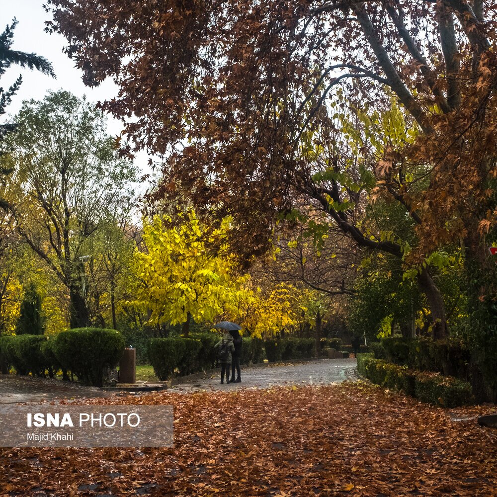 تصاویر: تهران، غرق برگ و برف