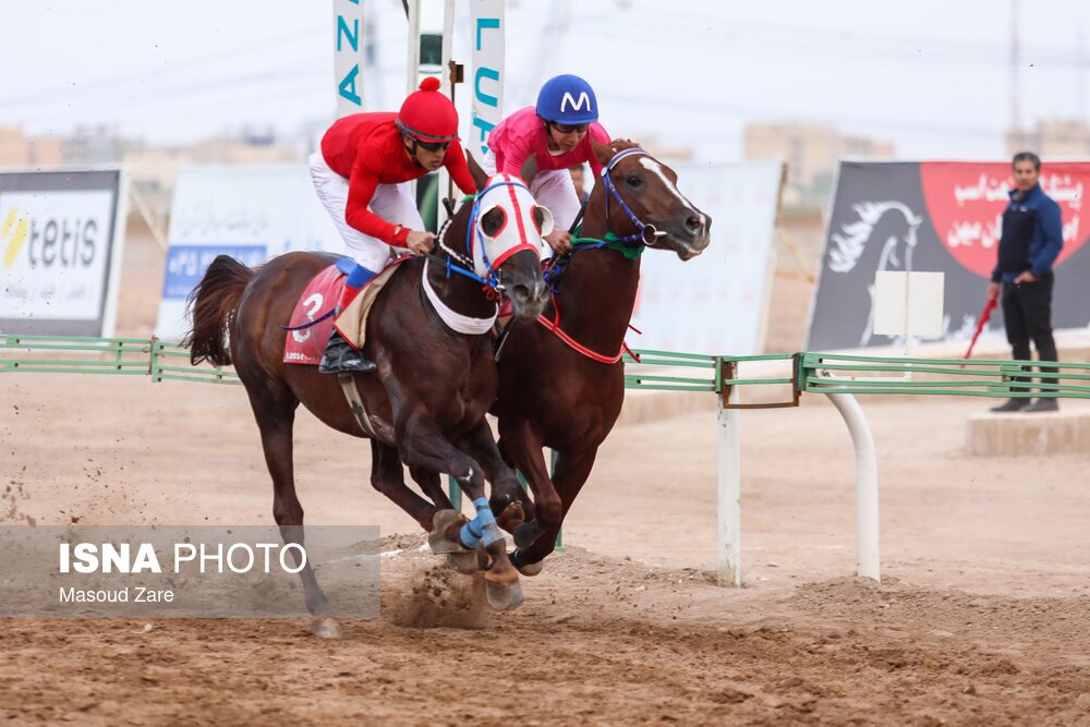 تصاویر: کورس پاییزه اسب دوانی یزد