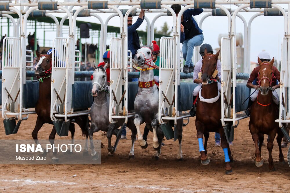 تصاویر: کورس پاییزه اسب دوانی یزد