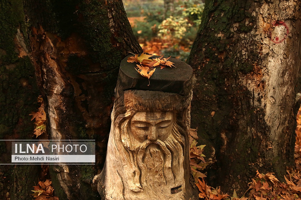 تصاویر: پاییز در سعدآباد