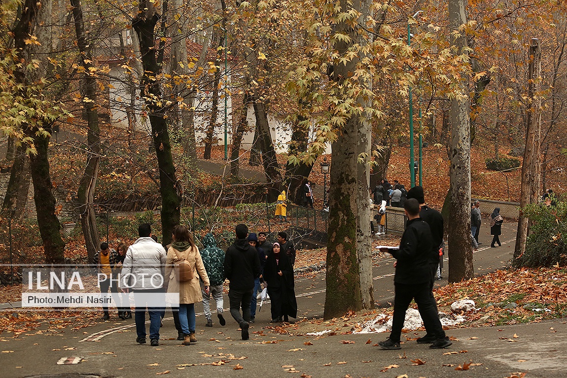 تصاویر: پاییز در سعدآباد