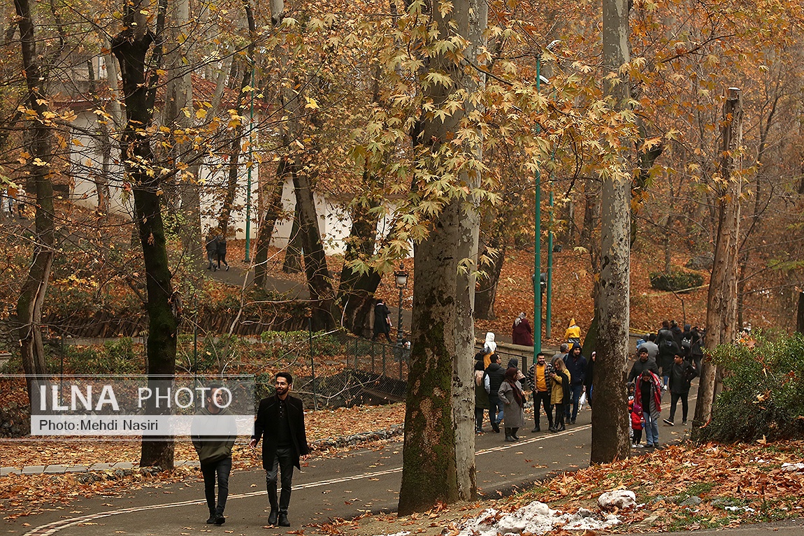 تصاویر: پاییز در سعدآباد