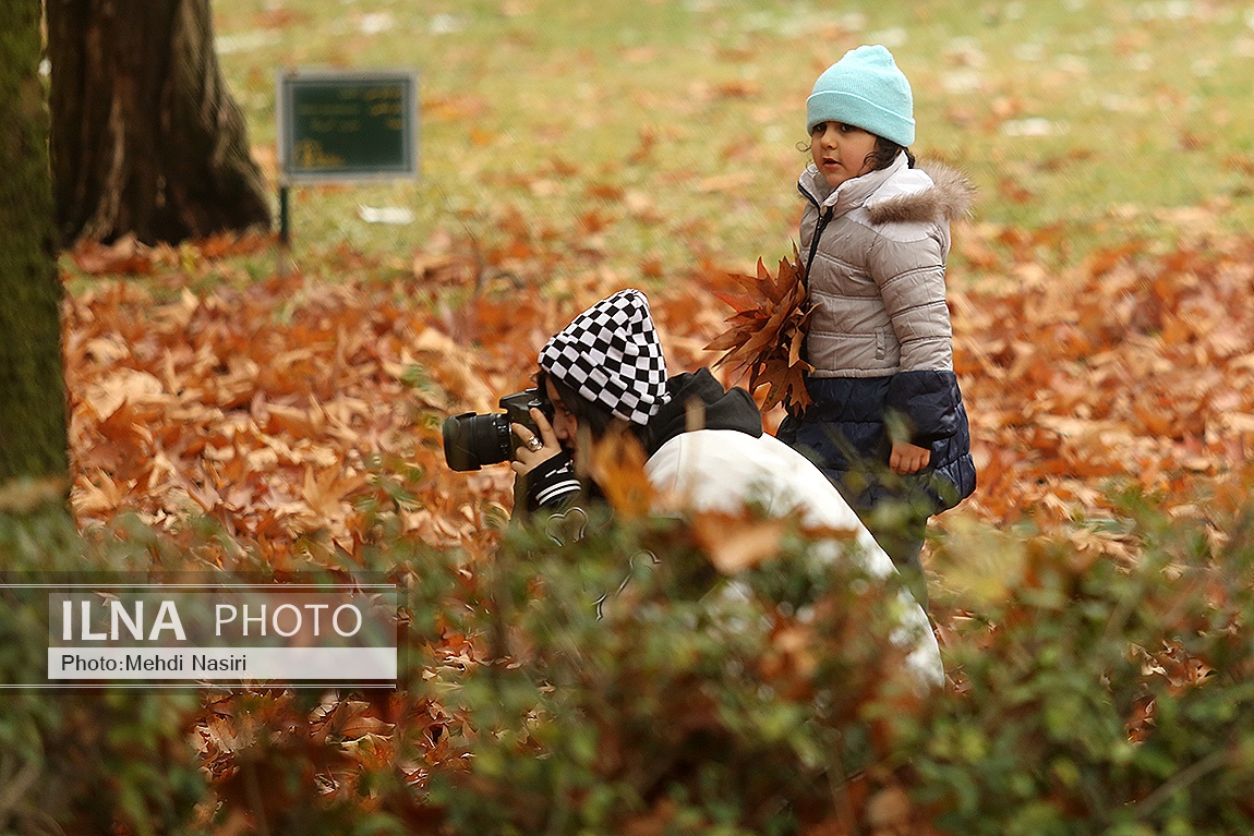 تصاویر: پاییز در سعدآباد